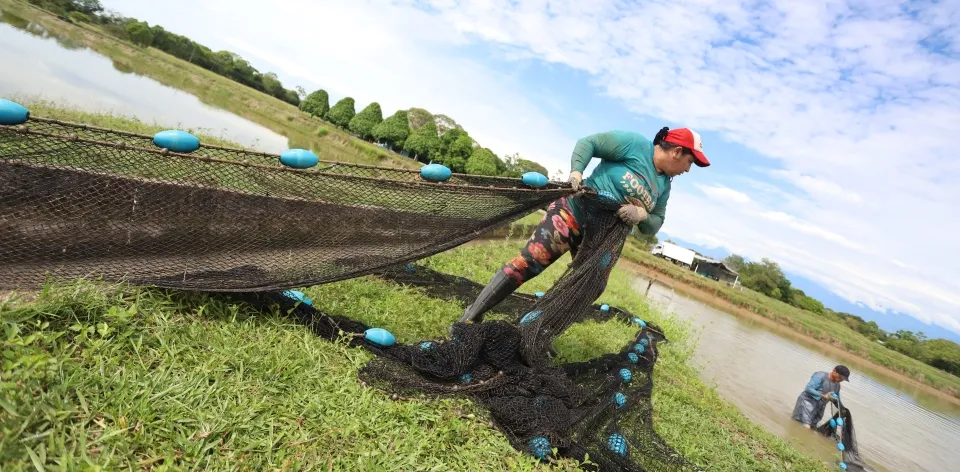 ¡La acuicultura y la pesca en Colombia son fuente de vida! ¡La acuicultura y la pesca en Colombia son fuente de vida!