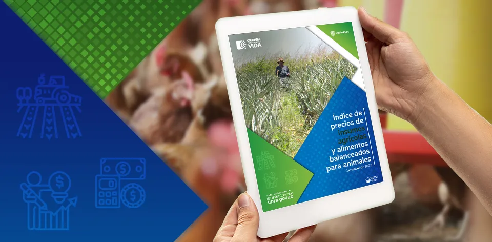 2023 cerró con una disminución de 31 % en el precio de los insumos agrícolas