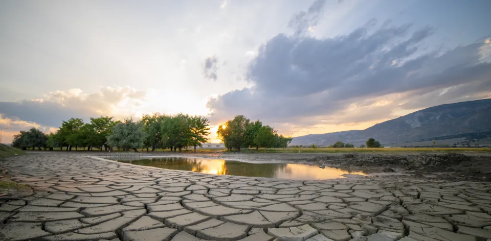 Agroclima, una herramienta para analizar los riesgos ante un fenómeno de El Niño que se debilita Agroclima, una herramienta para analizar los riesgos ante un fenómeno de El Niño que se debilita