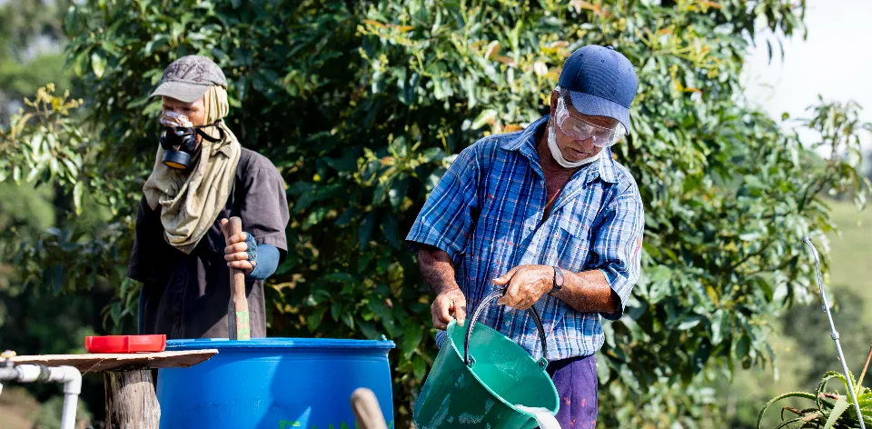 En enero de 2024, el sector agropecuario generó 244.000 empleos