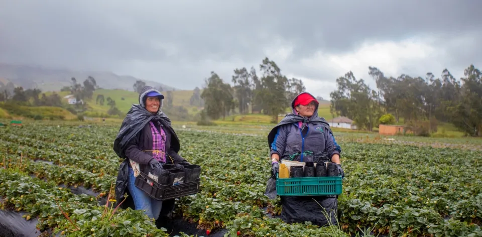 En marzo, el IPC de la división de alimentos y bebidas no alcohólicas aumentó 0,75%
