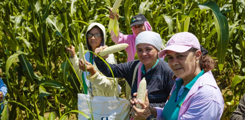Únete a un panel que conecta academia, sector público y organizaciones, para debatir sobre agroecología en la COP16 Únete a un panel que conecta academia, sector público y organizaciones, para debatir sobre agroecología en la COP16