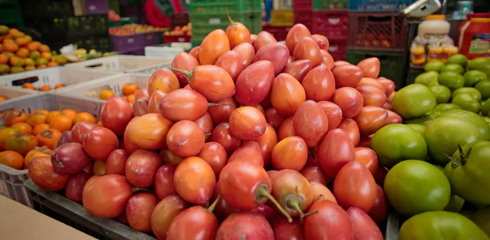 Precios de alimentos suben un 0,11 % en septiembre, impulsados por las frutas y el chocolate