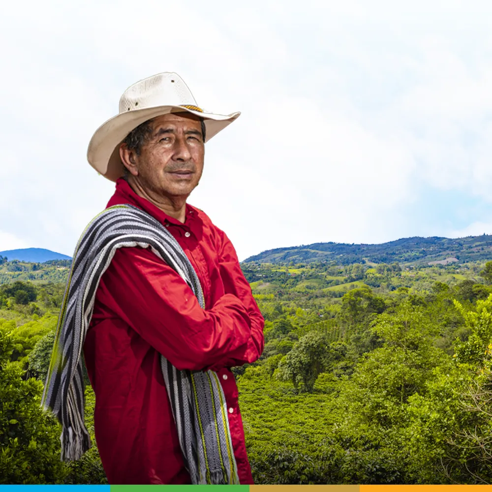 Plan de Ordenamiento Productivo de la cadena productiva del café y su agroindustria (Grupo base)