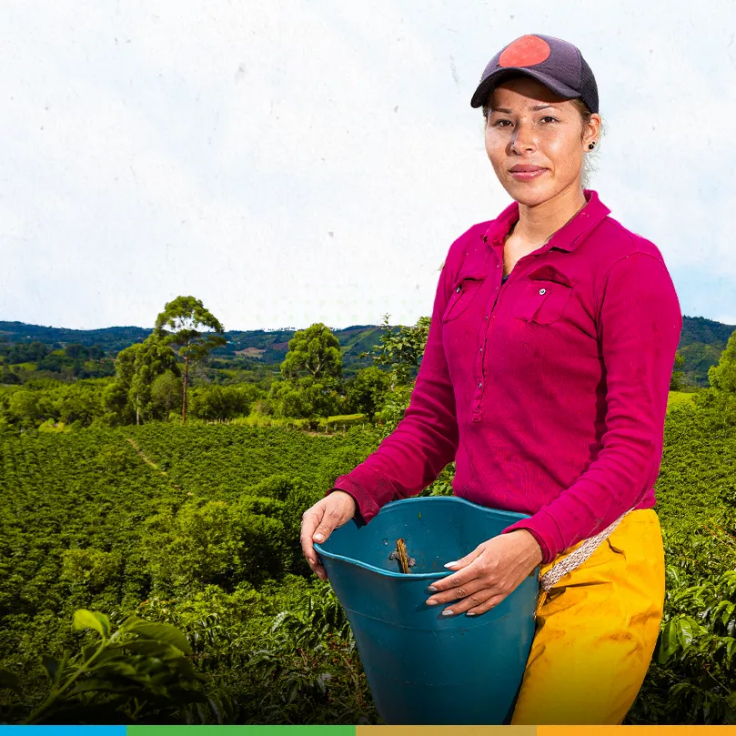 Levantamiento de costos de producción de café Levantamiento de costos de producción de café