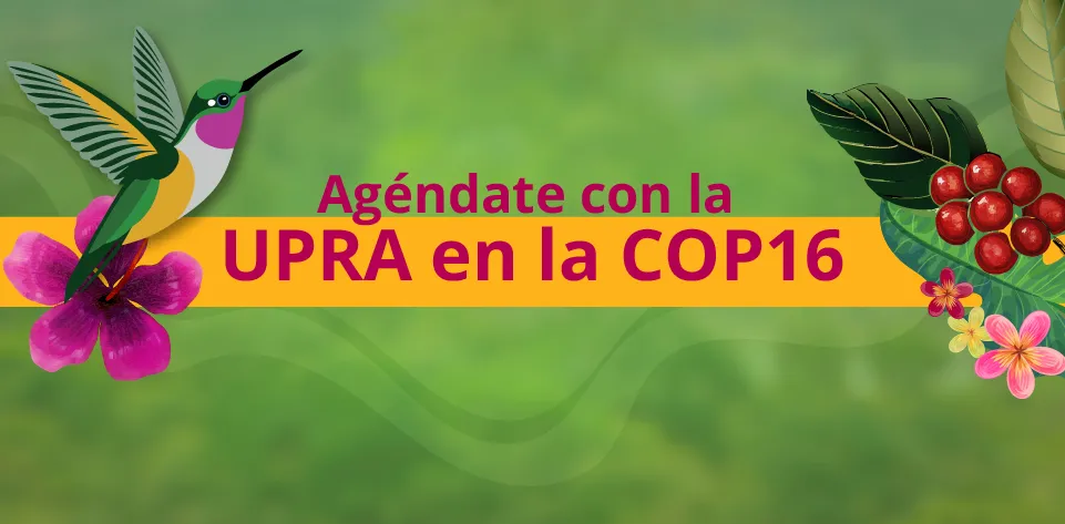 UPRA lidera eventos clave en la COP16 para impulsar la agroecología y los paisajes agropecuarios como instrumentos para la conservación de la biodiversidad UPRA lidera eventos clave en la COP16 para impulsar la agroecología y los paisajes agropecuarios como instrumentos para la conservación de la biodiversidad