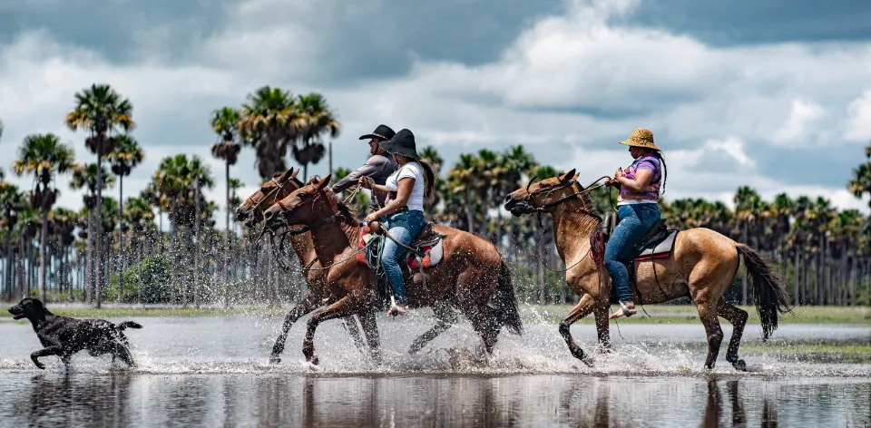 Personas cabalgando