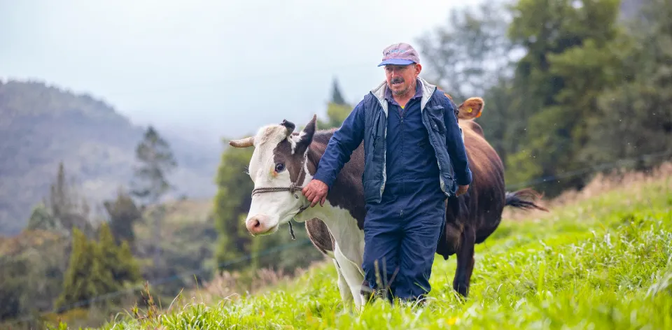 Con acciones de planificación rural, la UPRA reconoce al campesinado como sujeto de derechos y especial protección en Colombia Con acciones de planificación rural, la UPRA reconoce al campesinado como sujeto de derechos y especial protección en Colombia