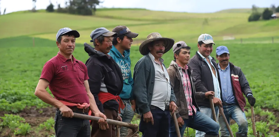 Ejecución del sector agro es del 46.5% en sus proyectos de inversión para 2024