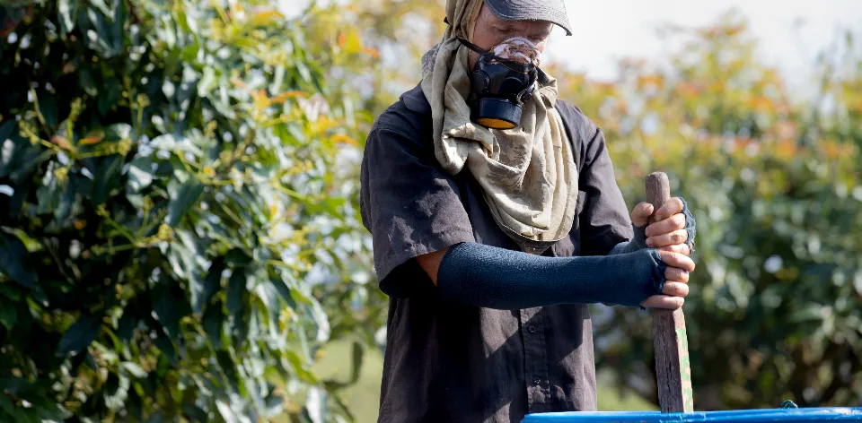 El primer trimestre de 2024 marca una tendencia general a la baja en los precios de los insumos agropecuarios El primer trimestre de 2024 marca una tendencia general a la baja en los precios de los insumos agropecuarios