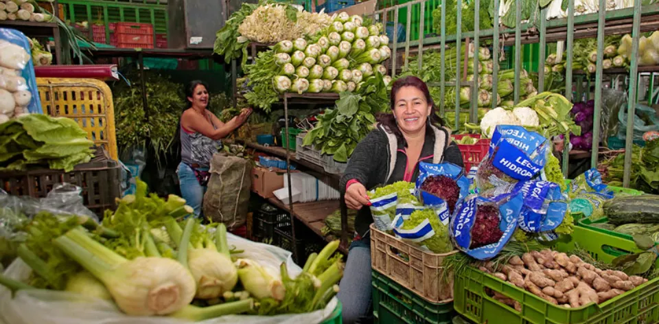 En octubre, los precios de algunas hortalizas y frutas frescas disminuyeron más del 20 %