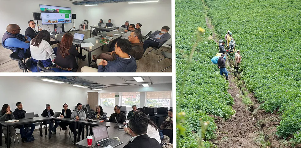 Colombia se alista para el 4.o Censo Nacional Agropecuario; MinAgricultura, la UPRA y el DANE avanzan en su planeación técnica