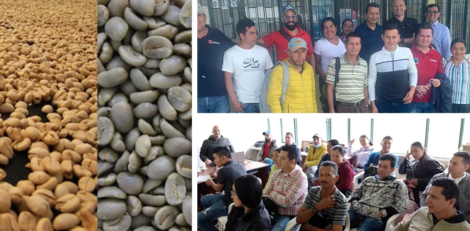 Fortaleciendo la caficultura en el Cauca Fortaleciendo la caficultura en el Cauca