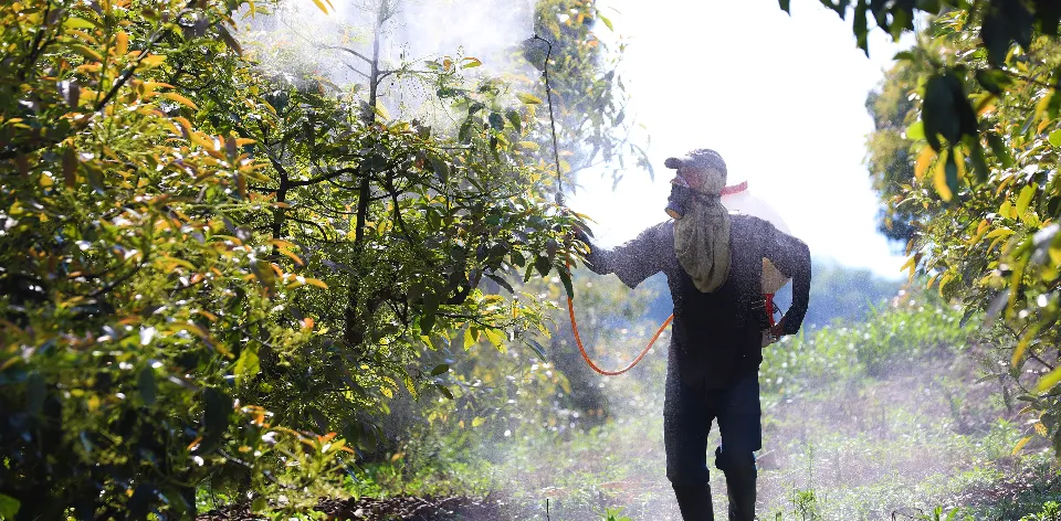Precios de fertilizantes registran su mayor incremento en nueve meses