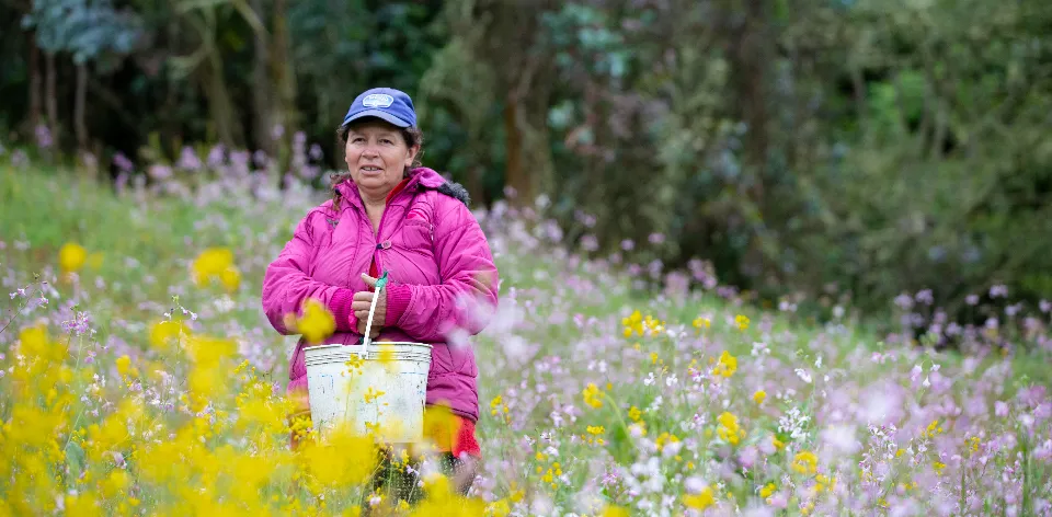 La riqueza de la diversidad: campesinos con identidad étnica dual La riqueza de la diversidad: campesinos con identidad étnica dual