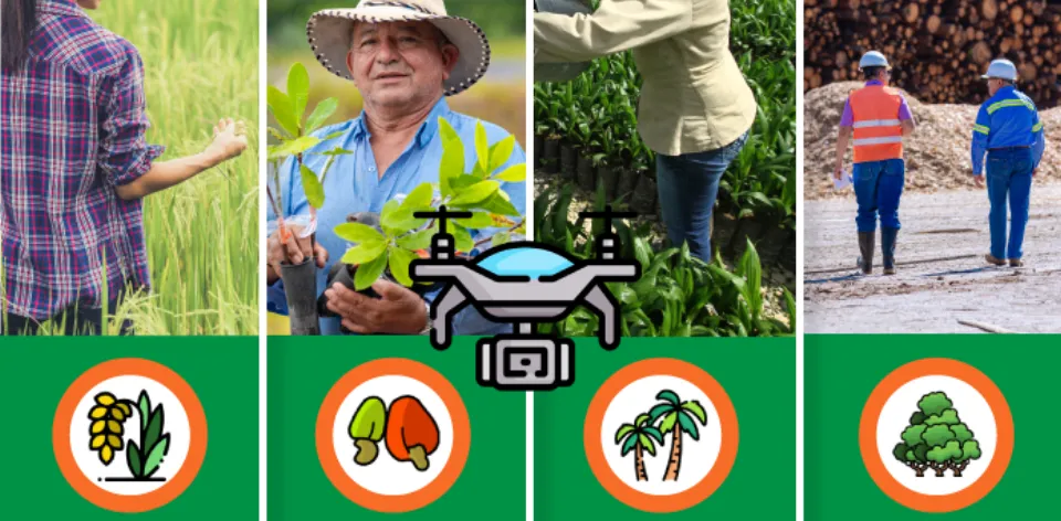 UPRA advances in satellite crop monitoring of the national continental area
