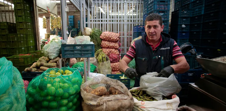 In July 2024, 622,415 tons of food were delivered to the main wholesale markets in the country