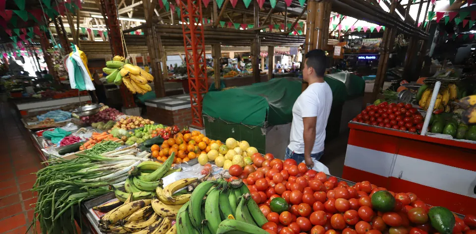 Food and Non-Alcoholic Beverages CPI Records a Monthly Variation of 0.21% in July