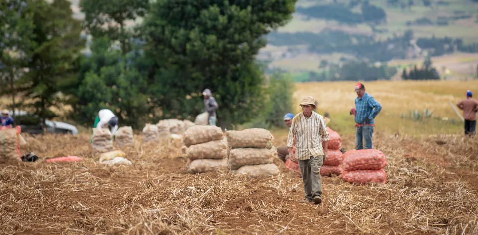 Boyacá strengthens its position in the agricultural sector with key distribution routes in Sogamoso