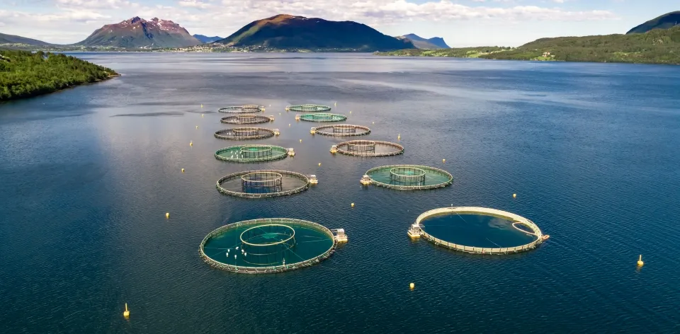 #RendiCuentasUpra: The Collective Construction of the Productive Planning Plan (POP) for Aquaculture for Human Consumption Advances