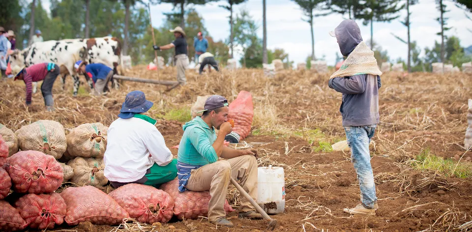 In July, the lowest unemployment rate for the month in the last seven years was recorded in the rural sector.