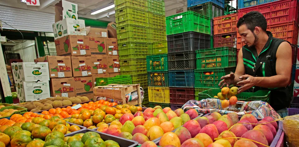 In August, prices for vegetables, tubers, eggs, and artisan cheeses dropped