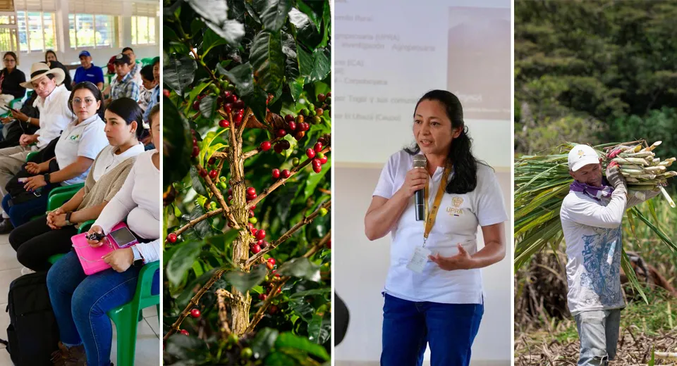 Togüí, a Hidden Paradise for agricultural production