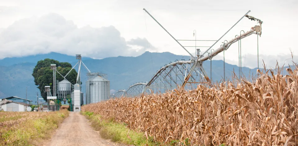Agricultural sector imports in May 2024 increased by 0.5%