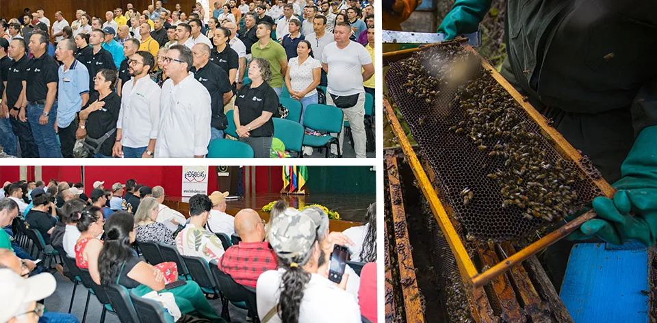 Protegiendo a las abejas, cultivamos vida