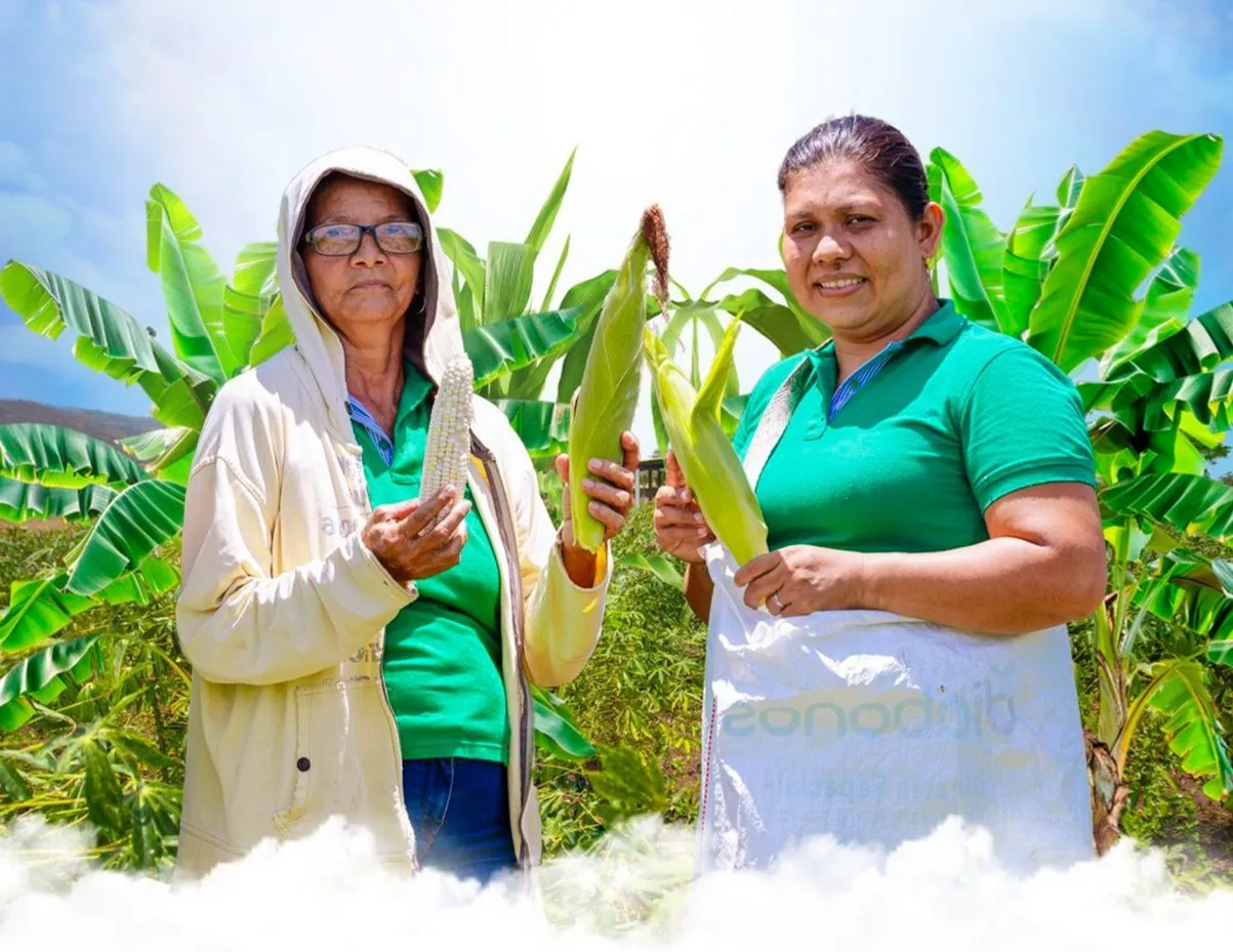 Priorización de Alternativas Productivas Agropecuarias