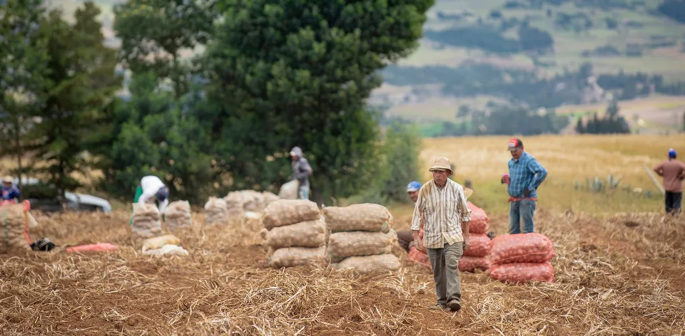 En agosto, los alimentos y bebidas fueron la división de gasto con menor variación en el IPC, con -0,68 %