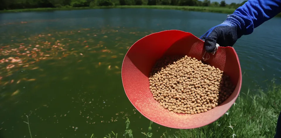 En mayo de 2024, los precios de los insumos agropecuarios mantienen la tendencia a la baja En mayo de 2024, los precios de los insumos agropecuarios mantienen la tendencia a la baja