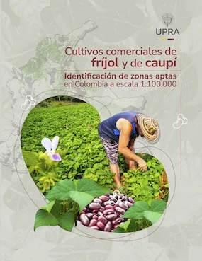 CULTIVOS COMERCIALES DE FRÍJOL Y DE CAUPÍ IDENTIFICACIÓN DE ZONAS APTAS EN COLOMBIA A ESCALA 1:100.000