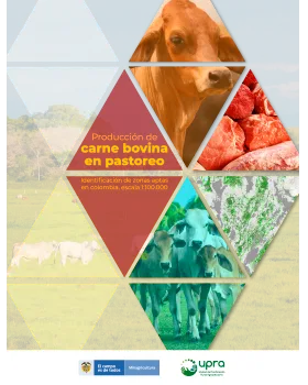 PRODUCCIÓN DE CARNE BOVINA EN PASTOREO IDENTIFICACIÓN DE ZONAS APTAS EN COLOMBIA, ESCALA 1:100.000