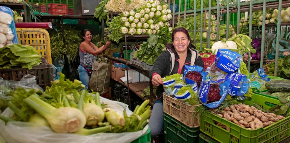 Colombia registra el mayor abastecimiento de alimentos en centrales mayoristas desde 2013 Colombia registra el mayor abastecimiento de alimentos en centrales mayoristas desde 2013
