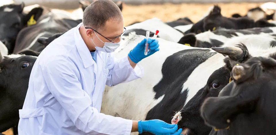 Plaguicidas registran reducción significativa de 2,03 % en lo corrido de 2025 y marcan el mayor alivio para productores Plaguicidas registran reducción significativa de 2,03 % en lo corrido de 2025 y marcan el mayor alivio para productores