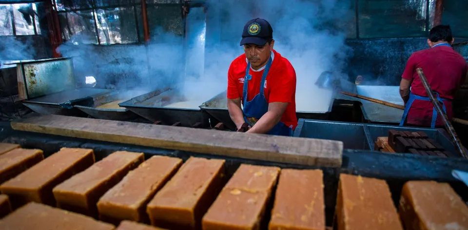 Panela, el oro dulce que espera ser más productivo y competitivo gracias a la reconversión productiva agropecuaria Panela, el oro dulce que espera ser más productivo y competitivo gracias a la reconversión productiva agropecuaria