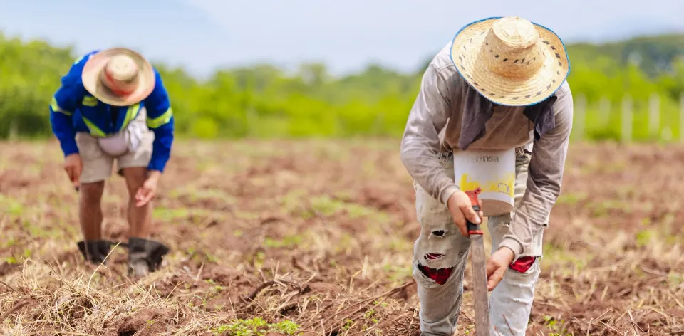 Agricultura alcanza récord histórico con 3,4 millones de empleos: es la mejor cifra de ocupación de los últimos ocho años Agricultura alcanza récord histórico con 3,4 millones de empleos: es la mejor cifra de ocupación de los últimos ocho años