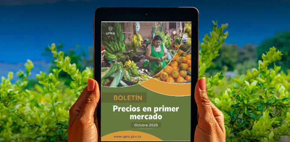 Boletín de Precios en Primer Mercado reporta tendencia a la baja en los precios de alimentos básicos en el centro del país