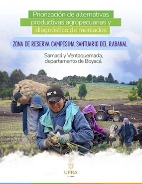 PRIORIZACIÓN DE ALTERNATIVAS PRODUCTIVAS AGROPECUARIAS Y DIAGNÓSTICO DE MERCADOS: ZONA DE RESERVA CAMPESINA SANTUARIO DEL RABANAL. SAMACÁ Y VENTAQUEMADA, DEPARTAMENTO DE BOYACÁ