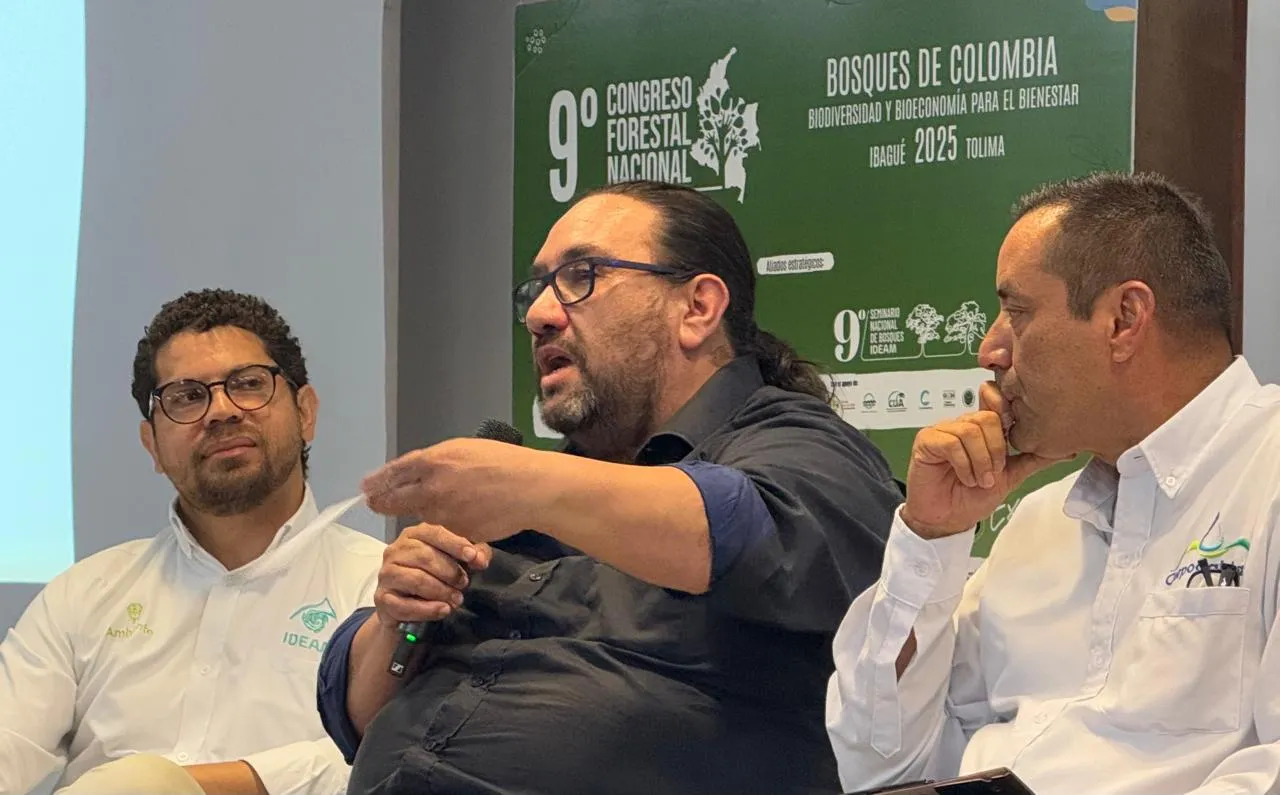 Participación en el 9.º Congreso Forestal Nacional, durante la sesión de la Comisión Accidental de Bosques y Cambio Climático