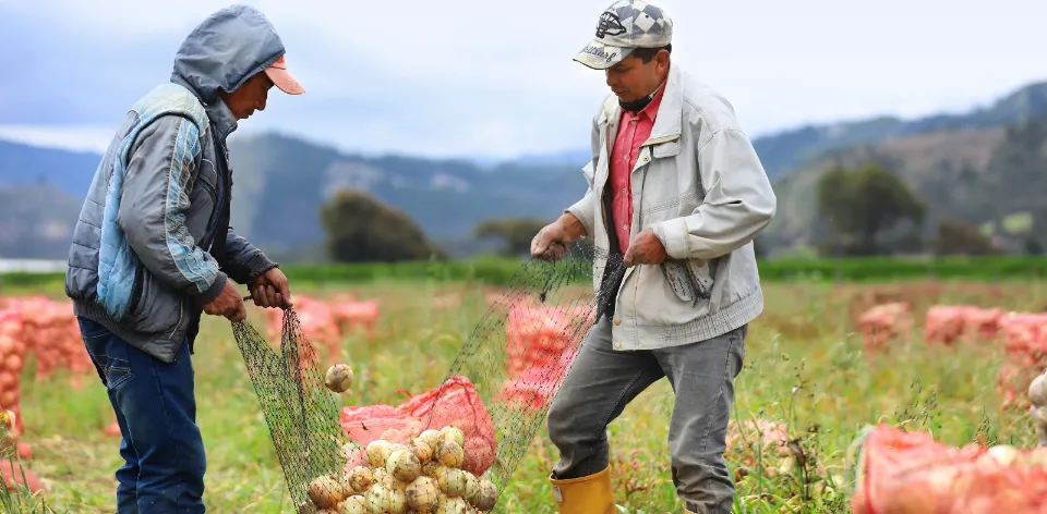 2025: año histórico para el abastecimiento de alimentos hacia las centrales mayoristas en Colombia. 