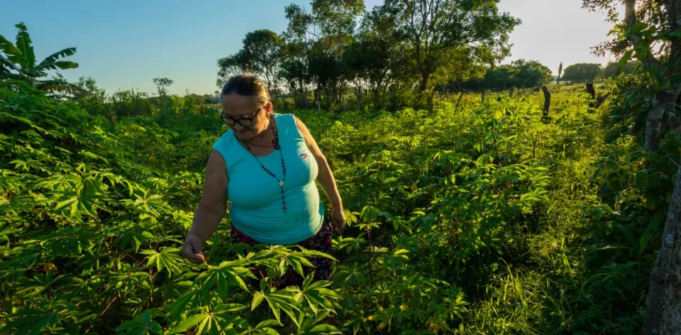 La agricultura, ganadería, caza, silvicultura y pesca registró en 2025 un aumento de 103 mil ocupados y se consolida como la segunda actividad que más empleo genera en el país