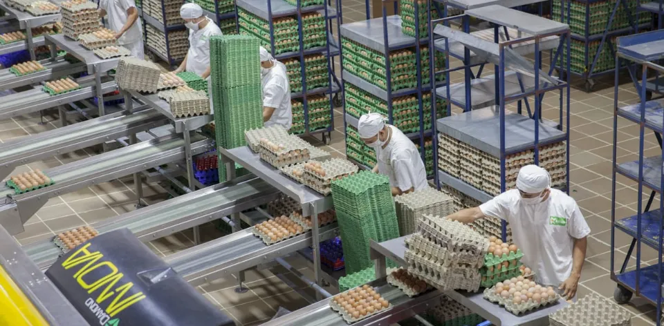 El incremento del IPC alimentos y bebidas no alcohólicas en enero de 2026 es similar a su patrón histórico