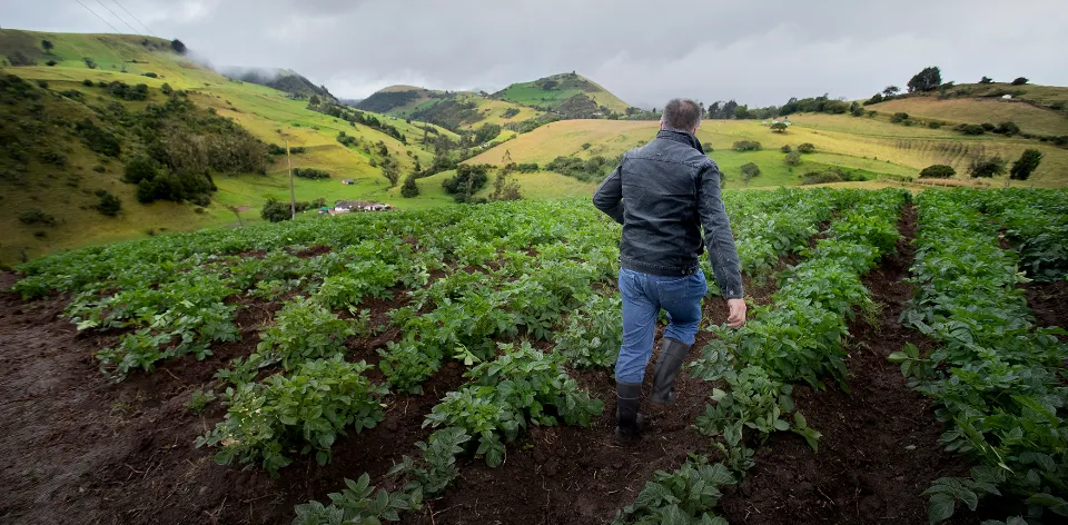 El sector agropecuario activa acciones articuladas para enfrentar el Fenómeno de El Niño y proteger la producción de alimentos