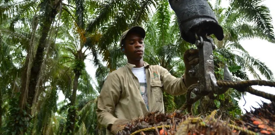 El campo colombiano emplea históricamente más gente: el desempleo rural llega a su mínimo en ocho años