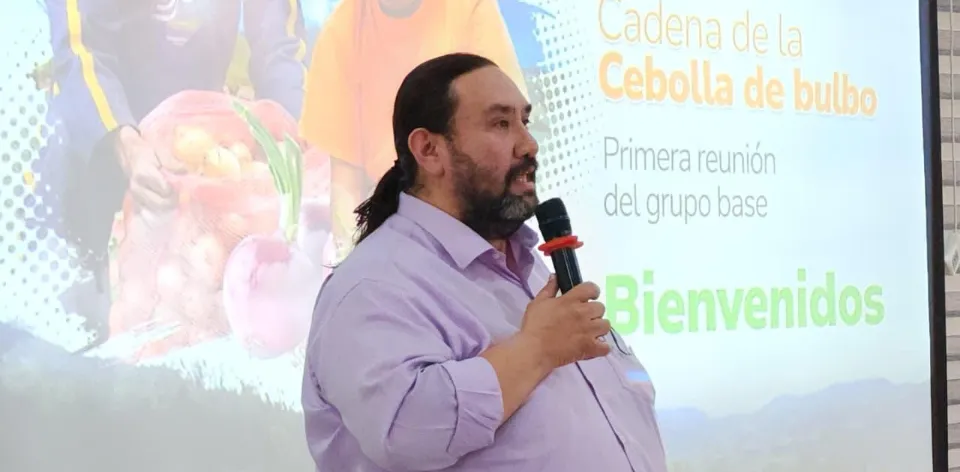 Avanza la formulación del Plan de Ordenamiento Productivo (POP) para la cebolla de bulbo en Colombia