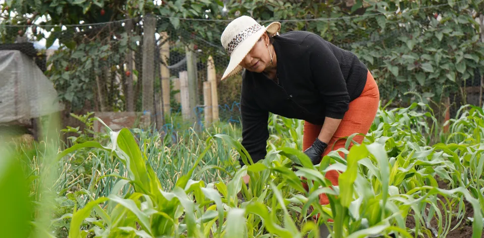 Desempleo rural en Colombia alcanzó en abril la tasa más baja de los últimos ocho años con un 6,4 %