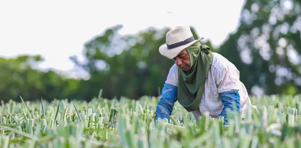 La UPRA le rinde cuentas al país: suelos protegidos para producir alimentos, frontera agrícola actualizada y nuevas zonificaciones