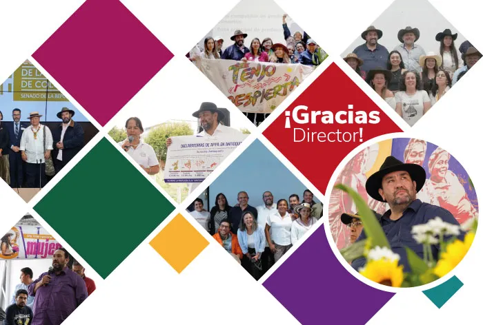 Gracias Director